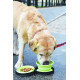 Collapsible Travel Bowl for Pets